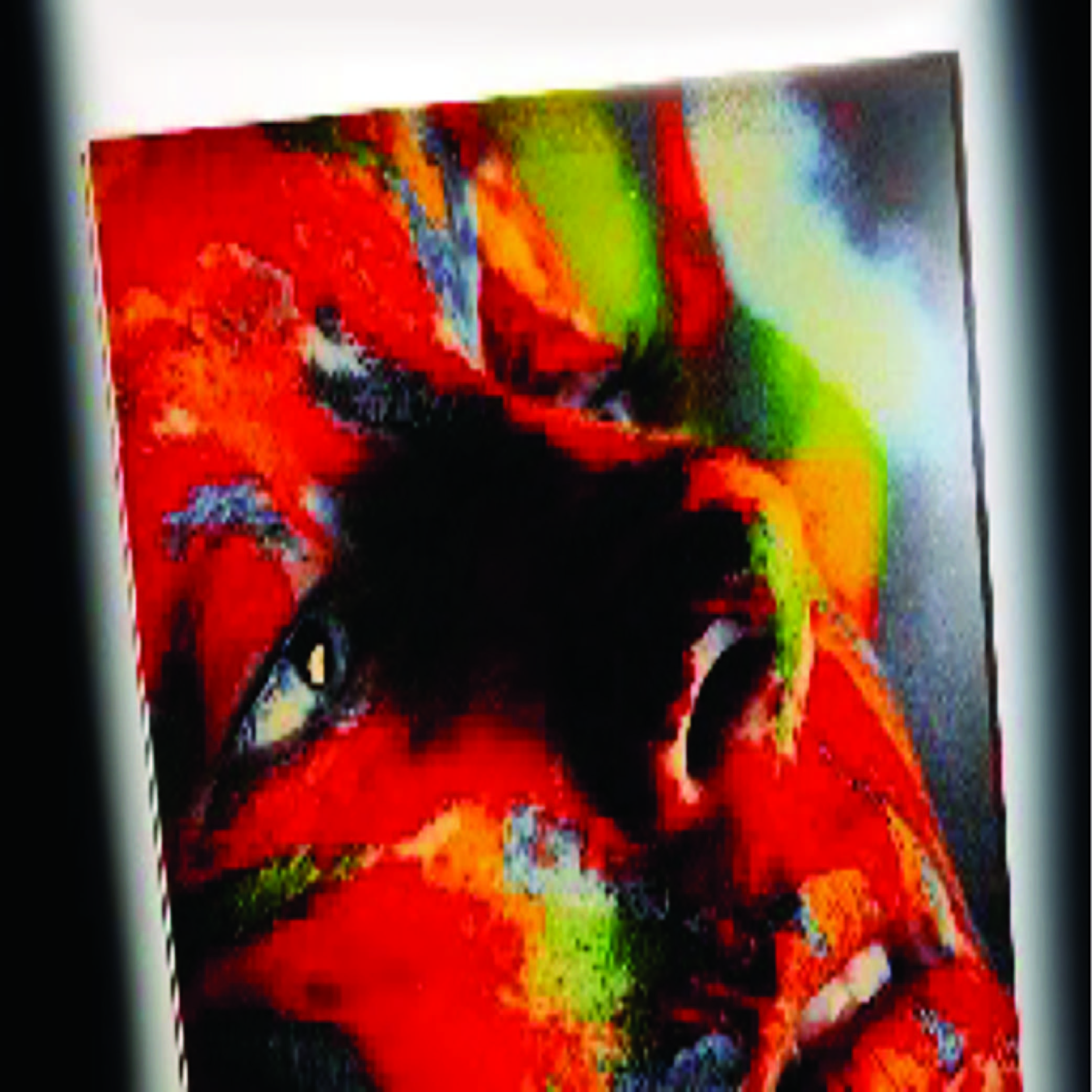 Digital Printed Glass